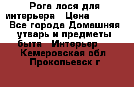 Рога лося для интерьера › Цена ­ 3 300 - Все города Домашняя утварь и предметы быта » Интерьер   . Кемеровская обл.,Прокопьевск г.